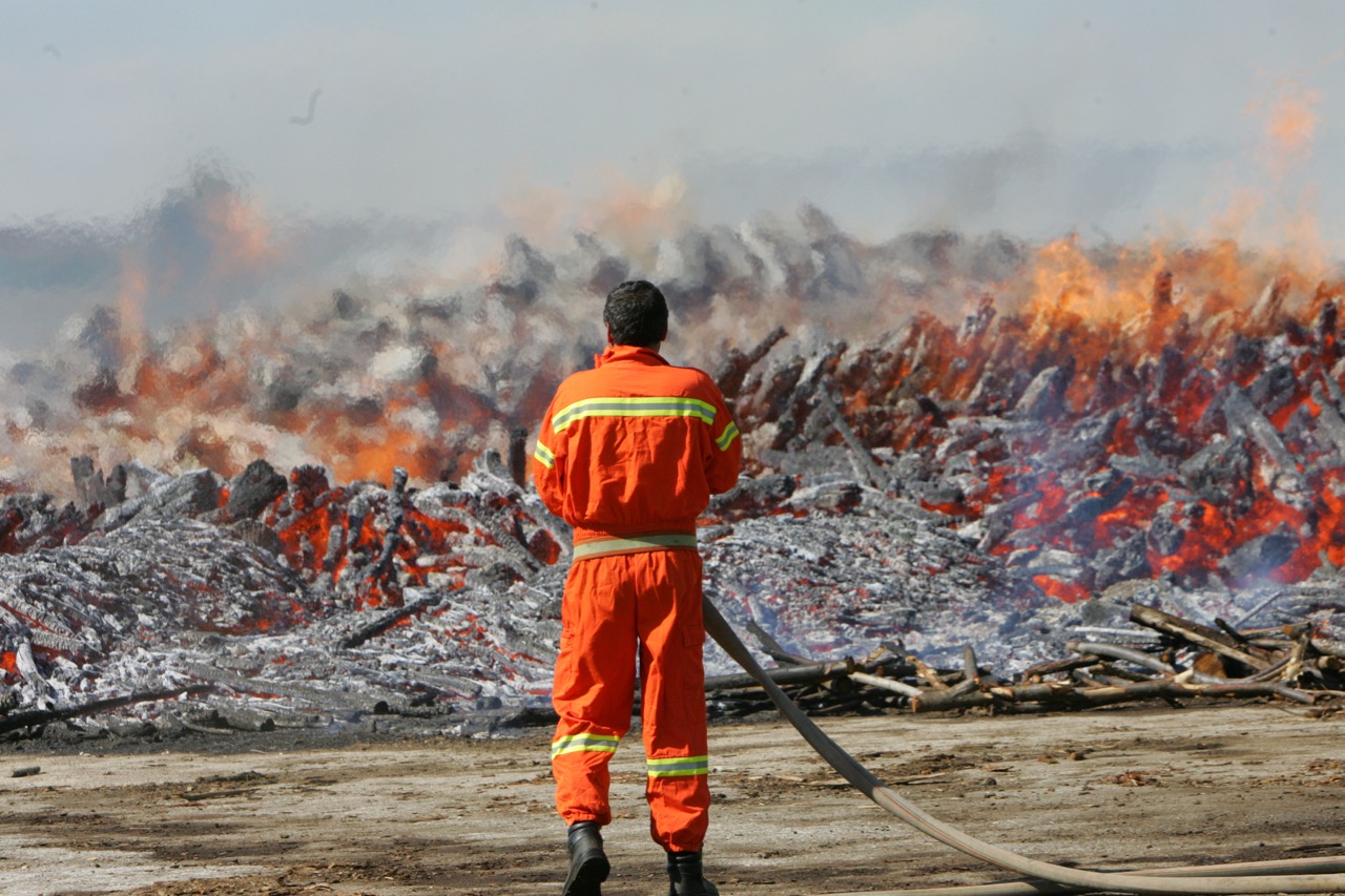 "Dona e pianta un albero" di ARCI CACCIA CALABRIA "Dona e pianta un albero"-ARCI CACCIA CALABRIA