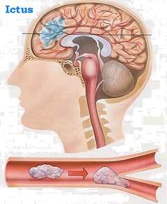 Sostieni ALICE Campania-ALICE Campania Onlus