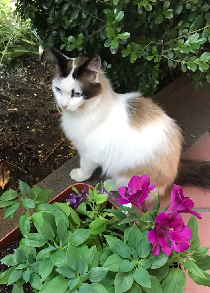 Aiutiamoli a crescere di La Culla di Lù Aiutiamoli a crescere-La Culla di Lù