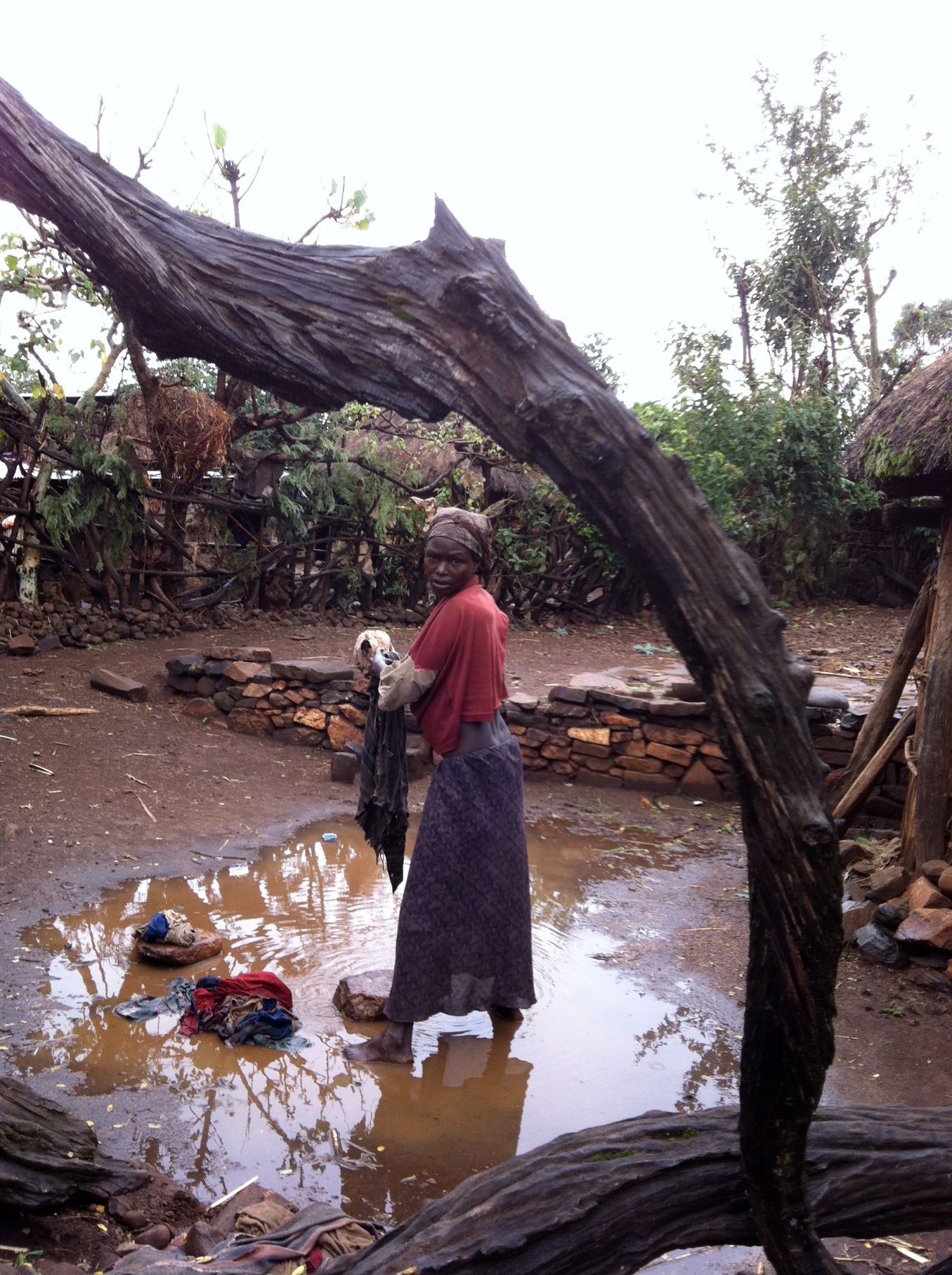 Ubuntu - Sviluppo sociale ed economico-Terre nel Cuore