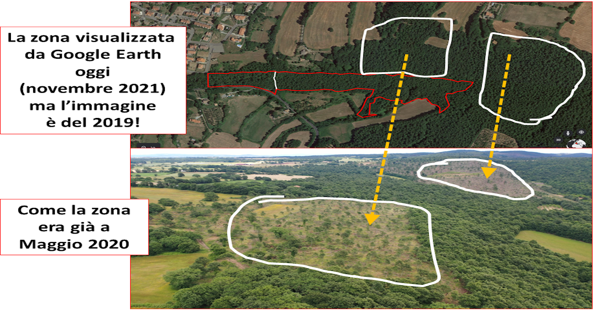  Espandiamo l'Oasi del Fondo Forestale -Fondo Forestale Italiano onlus