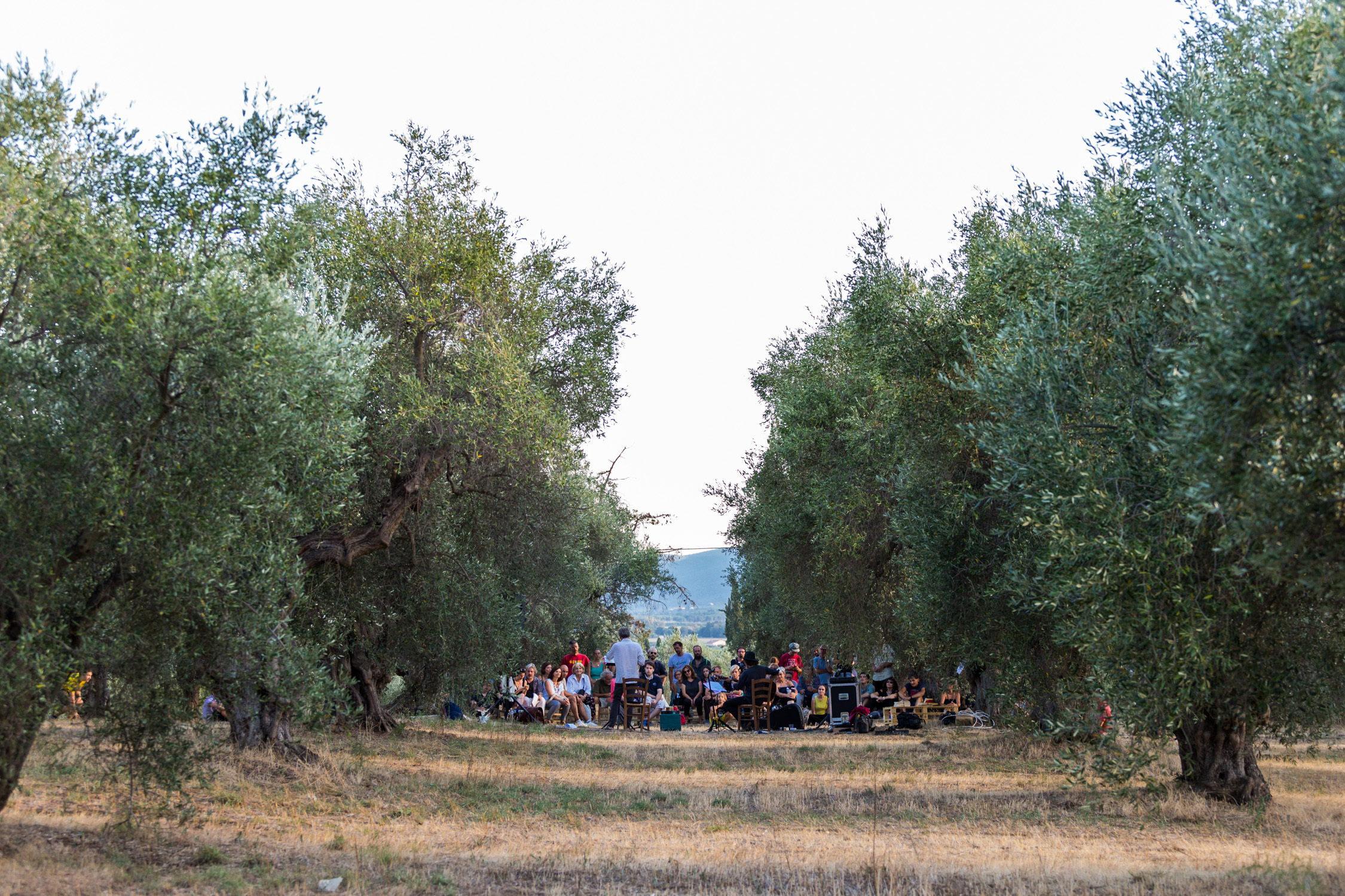 Clorofilla film festival di Circolo Festambiente Clorofilla film festival -Circolo Festambiente