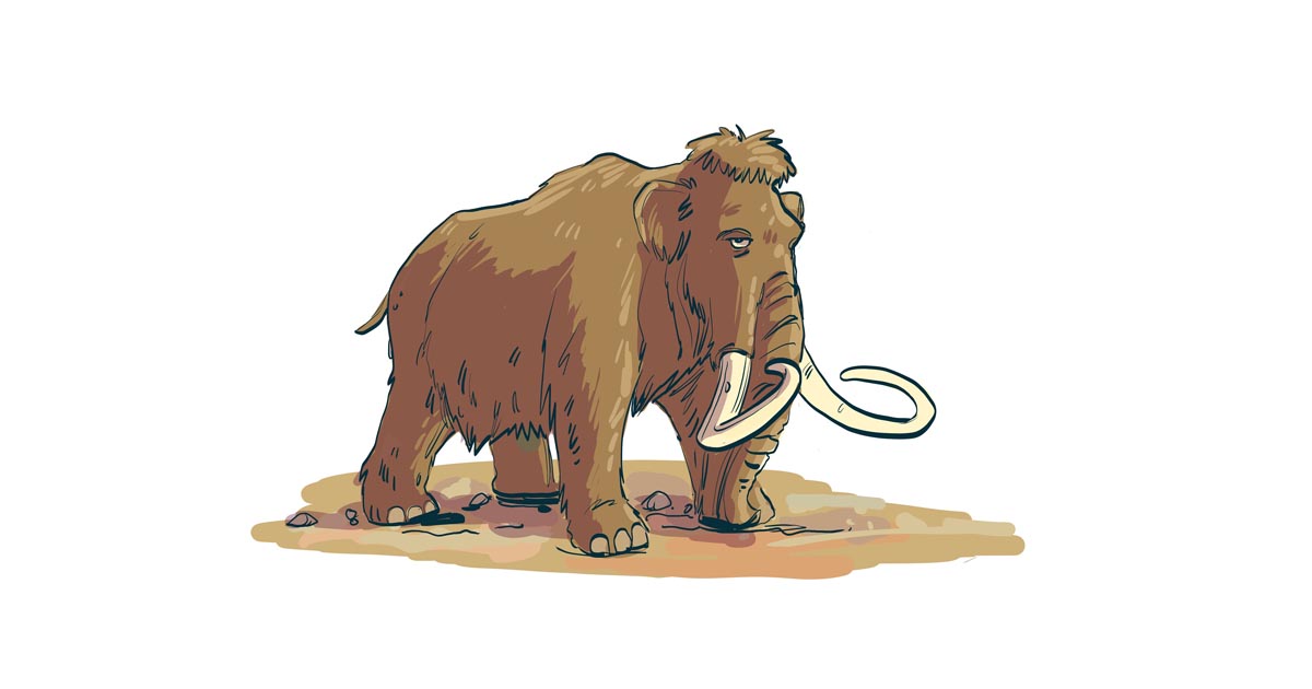 Gulp! Splash! Bang! di Diocesi di Alba Gulp! Splash! Bang!-Diocesi di Alba