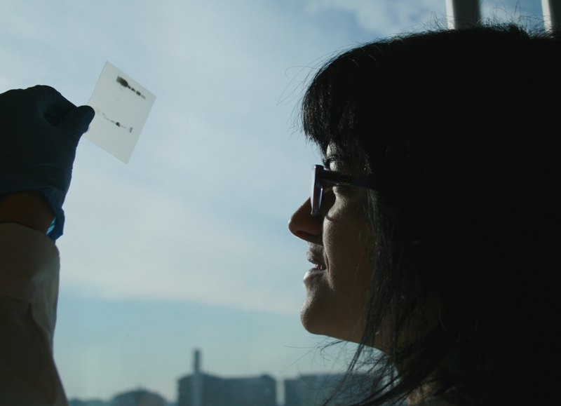 Fai correre la ricerca! di IRCCS, Ist. di Ricerche farmacologiche M Fai correre la ricerca!-IRCCS, Ist. di Ricerche farmacologiche M