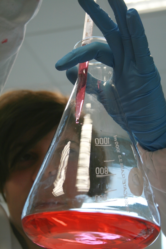 Fai correre la ricerca! di IRCCS, Ist. di Ricerche farmacologiche M Fai correre la ricerca!-IRCCS, Ist. di Ricerche farmacologiche M