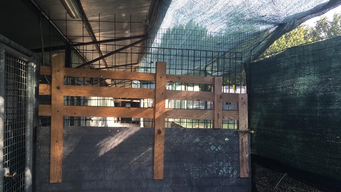 FACCIAMO RETE PER  I CANI DEL CANILE VA - 