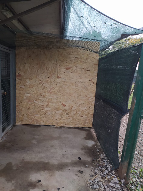 FACCIAMO RETE PER  I CANI DEL CANILE VA - 