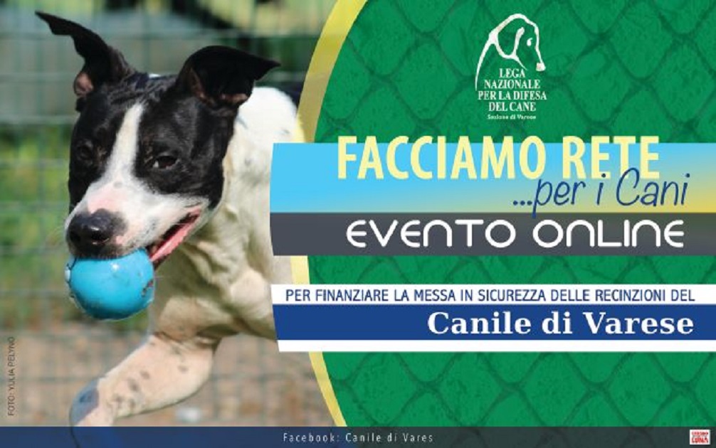 FACCIAMO RETE PER  I CANI DEL CANILE VA - 
