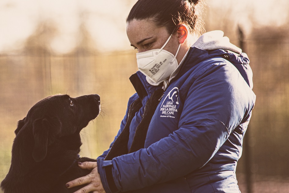 FACCIAMO RETE PER  I CANI DEL CANILE VA - 