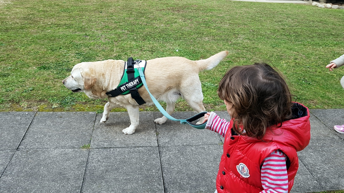 Centro Pet Therapy e Educazione Cinofila-Doctor Dog Pet Therapy