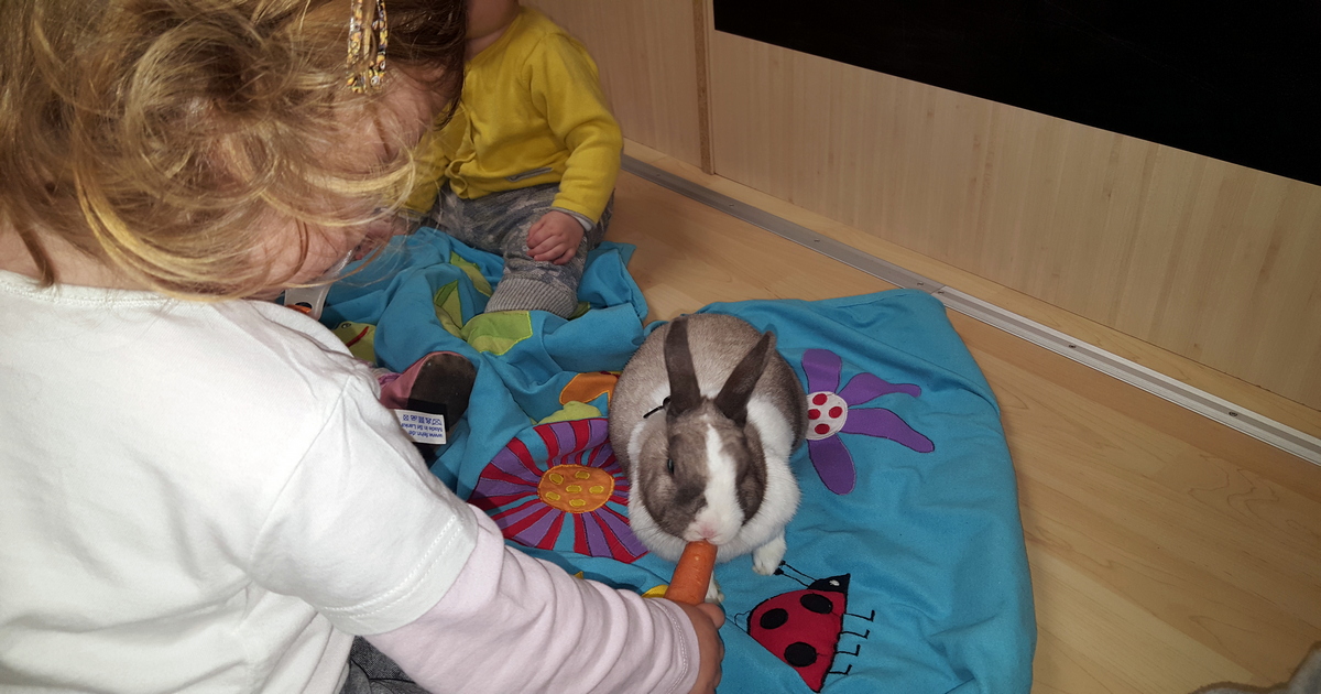 Centro Pet Therapy e Educazione Cinofila-Doctor Dog Pet Therapy