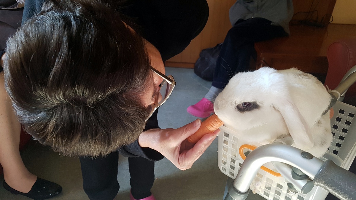 Centro Pet Therapy e Educazione Cinofila-Doctor Dog Pet Therapy