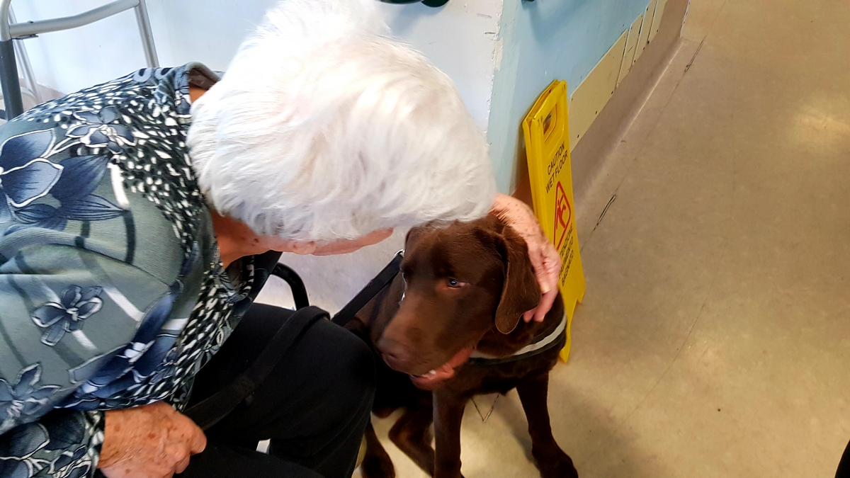 Centro Pet Therapy e Educazione Cinofila-Doctor Dog Pet Therapy