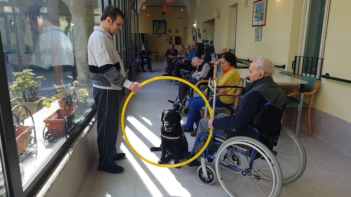 Centro Pet Therapy e Educazione Cinofila-Doctor Dog Pet Therapy