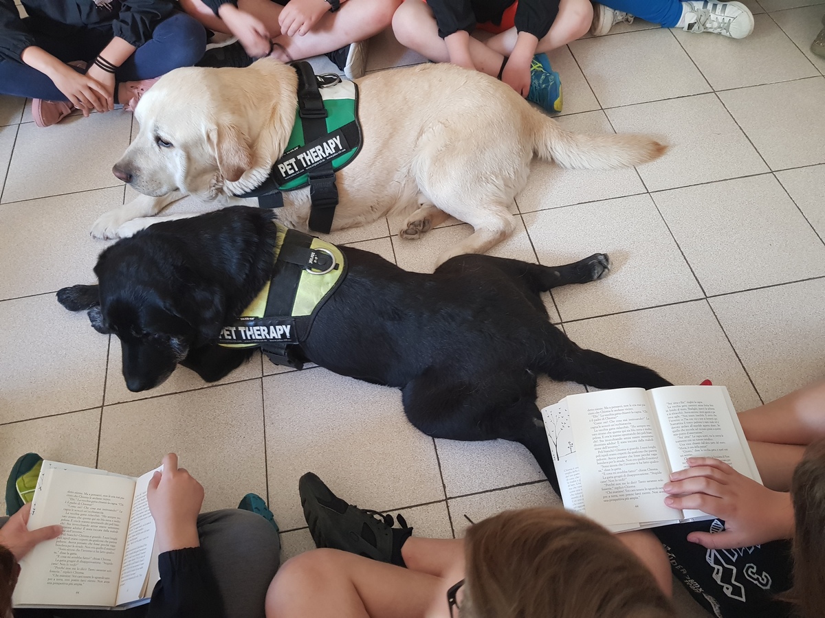 Centro Pet Therapy e Educazione Cinofila-Doctor Dog Pet Therapy