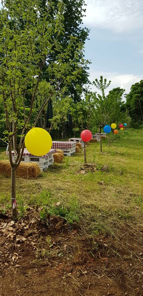 TUTTI GIU PER TERRA ALLA MILANO MARATHON-FONDAZIONE ALESSIO TAVECCHIO ONLUS