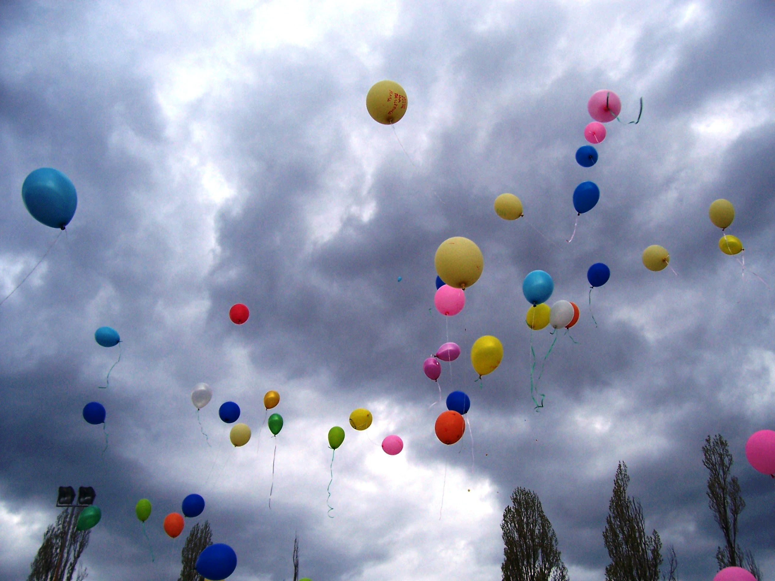 Ripartiamo con la Carovana della Gioia di La Scuola di Pace Ripartiamo con la Carovana della Gioia-La Scuola di Pace