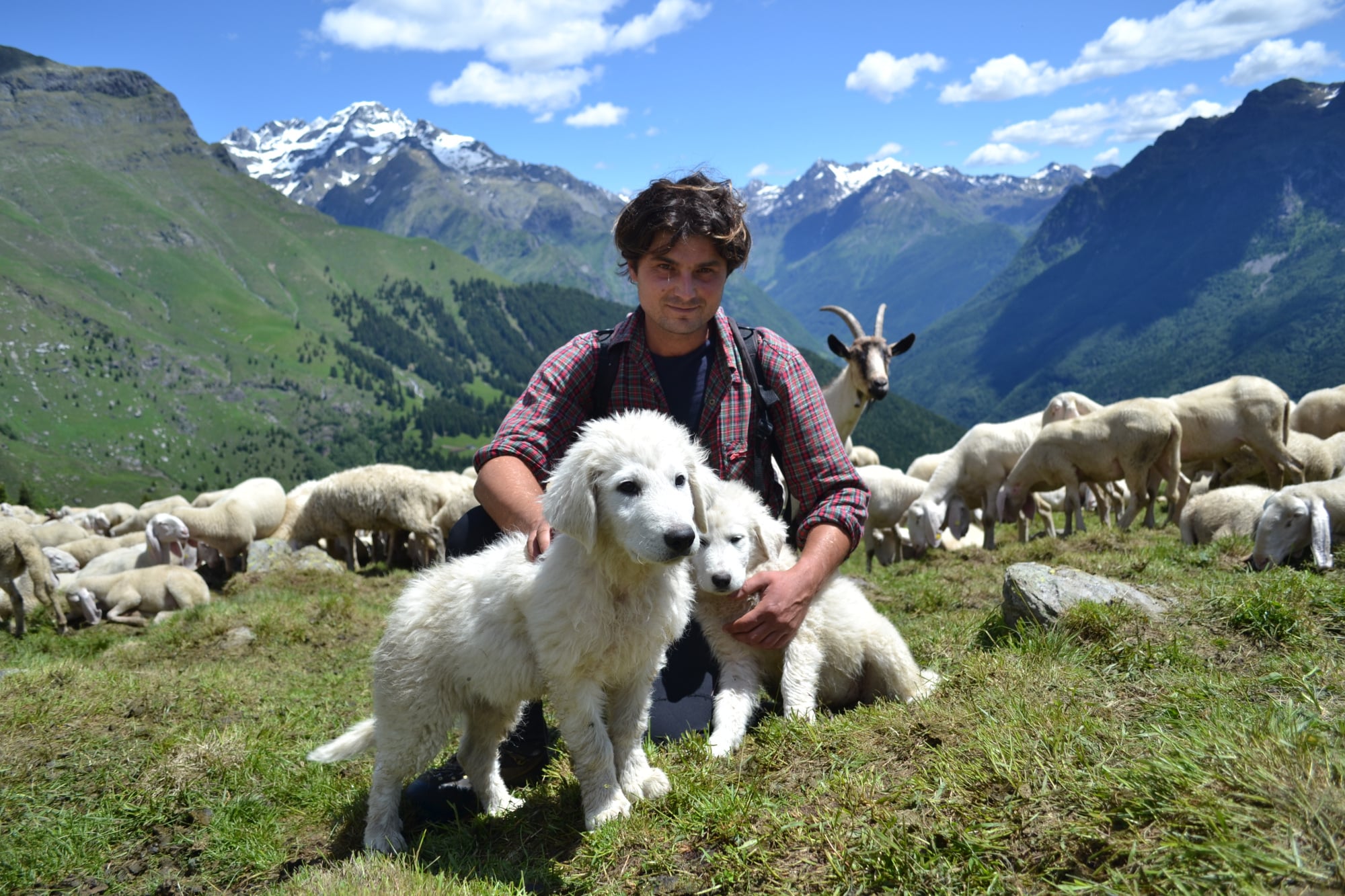 Lupo e orso: una storia a lieto fine! di Eliante Lupo e orso: una storia a lieto fine!-Eliante