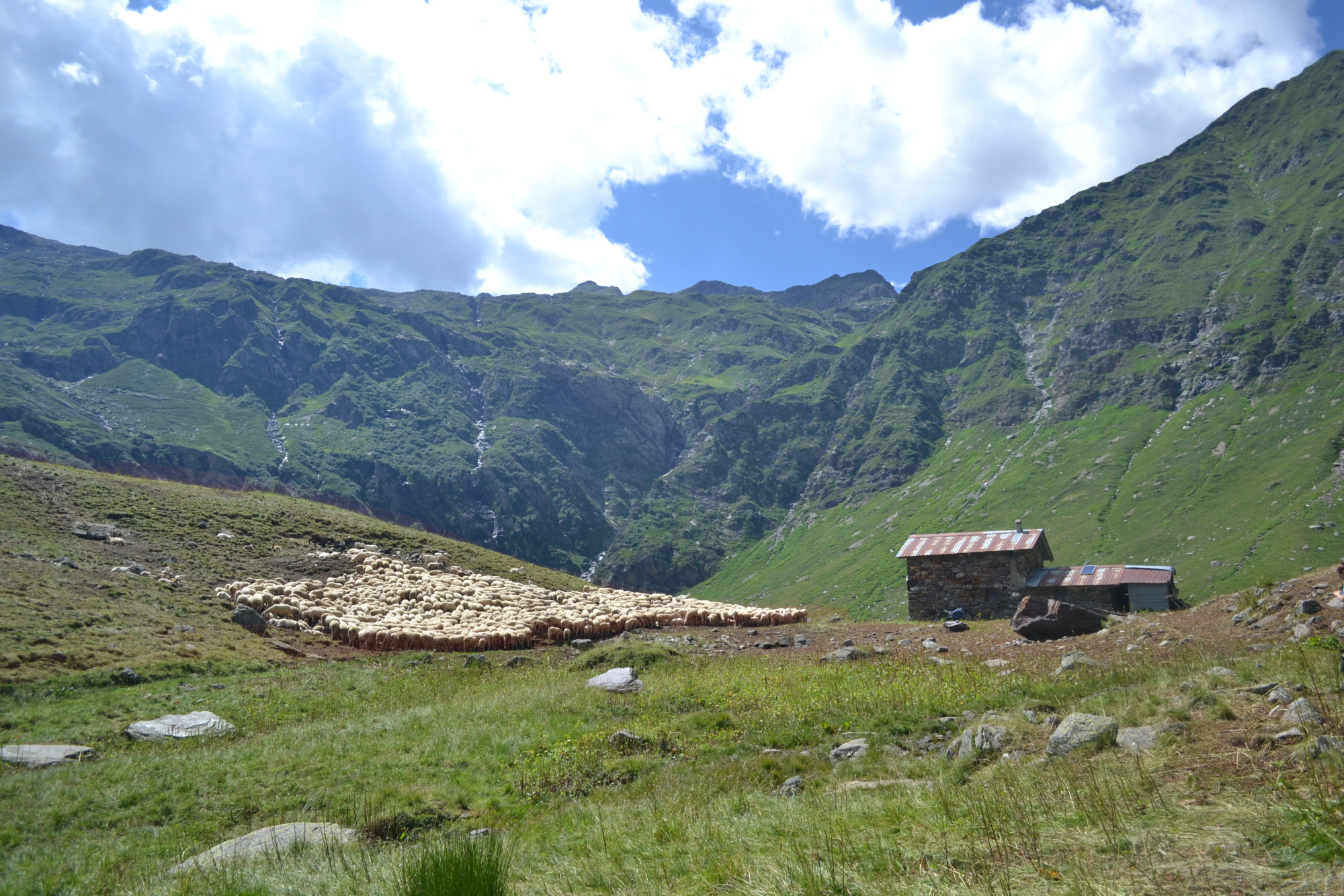 Lupo e orso: una storia a lieto fine! di Eliante Lupo e orso: una storia a lieto fine!-Eliante
