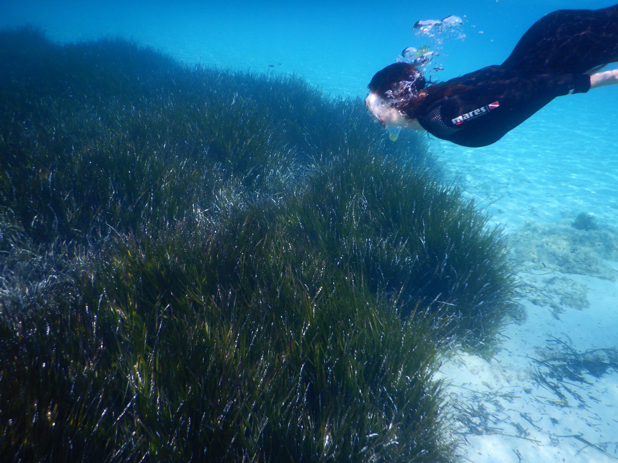 Action & Biology Campus di Worldrise Onlus Action & Biology Campus-Worldrise Onlus