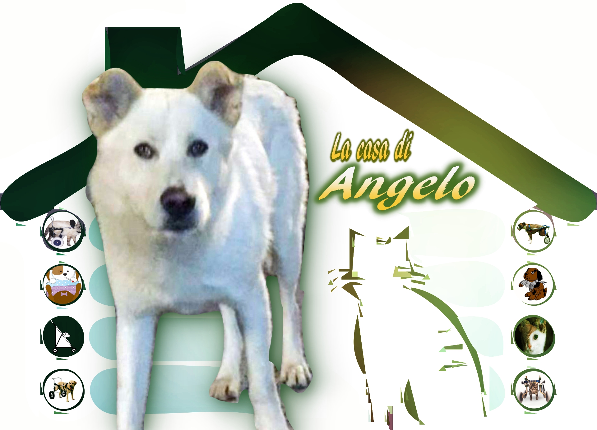 La casa di Angelo di Guerrieri Con la Coda La casa di Angelo- Guerrieri Con la Coda