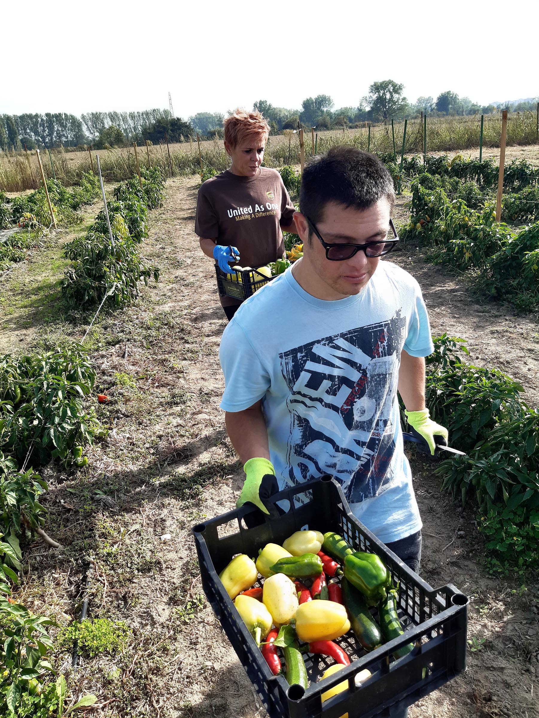 In memoria di Enrico Pavesi di L'Impronta Associazione ONLUS In memoria di Enrico Pavesi -L'Impronta Associazione ONLUS
