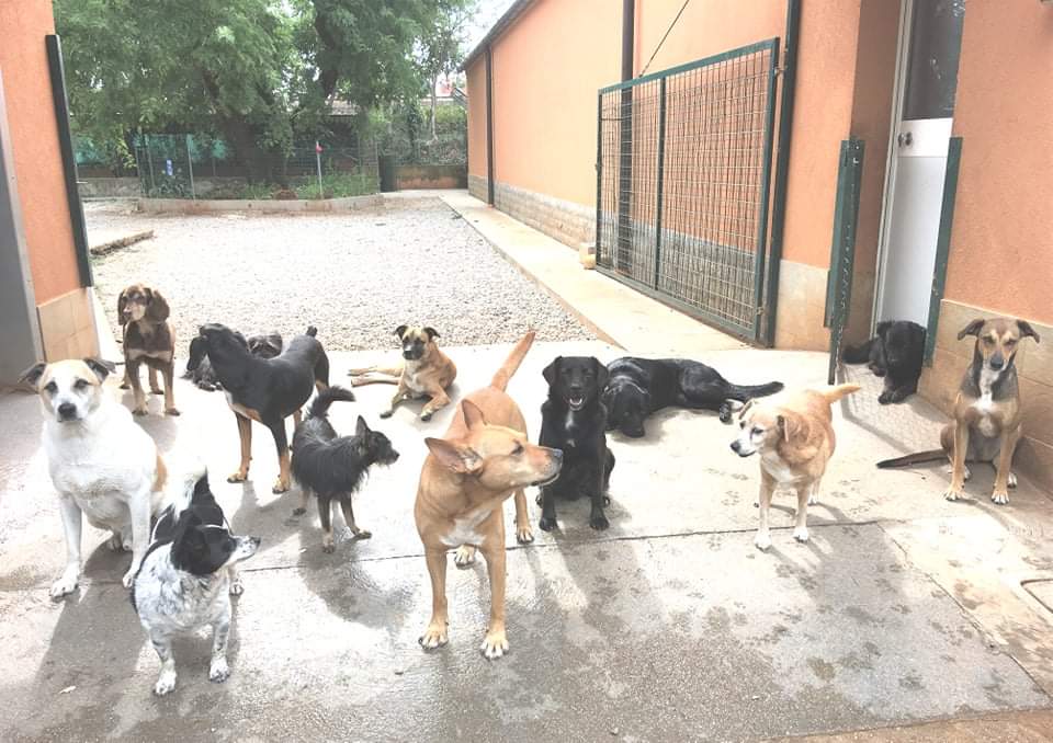 BAU VENTO ASTAD - Riscalda il loro cuore-Astad O.d.V.