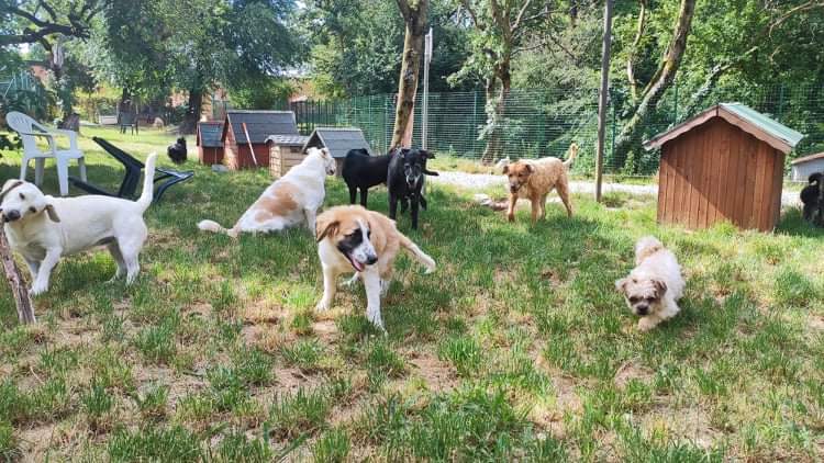 BAU VENTO ASTAD - Riscalda il loro cuore-Astad O.d.V.