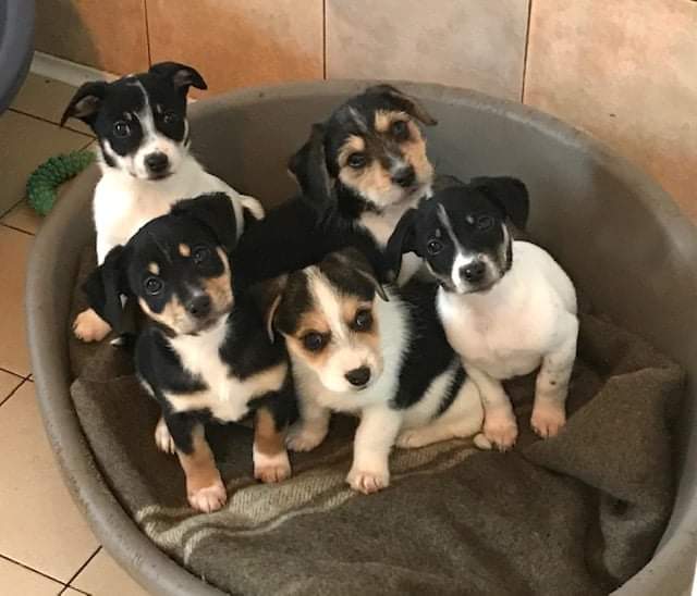 BAU VENTO ASTAD - Riscalda il loro cuore-Astad O.d.V.