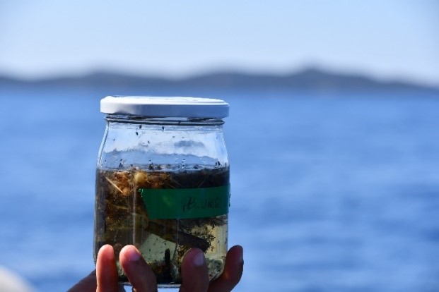 Plastic Buster Strade Bianche 2022 -Rotary Club Montaperti