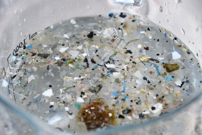 Plastic Buster Strade Bianche 2022 -Rotary Club Montaperti