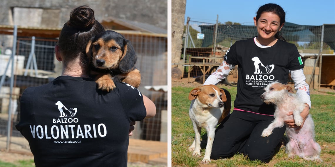 #RUNFORBALZOO - Protezione Animali-Balzoo Onlus