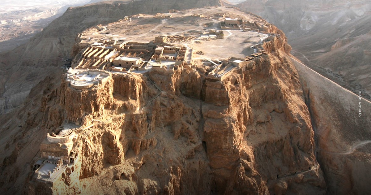 Formazione in Israele per studenti di Associazione Camis de Fonseca Formazione in Israele per studenti-Associazione Camis de Fonseca