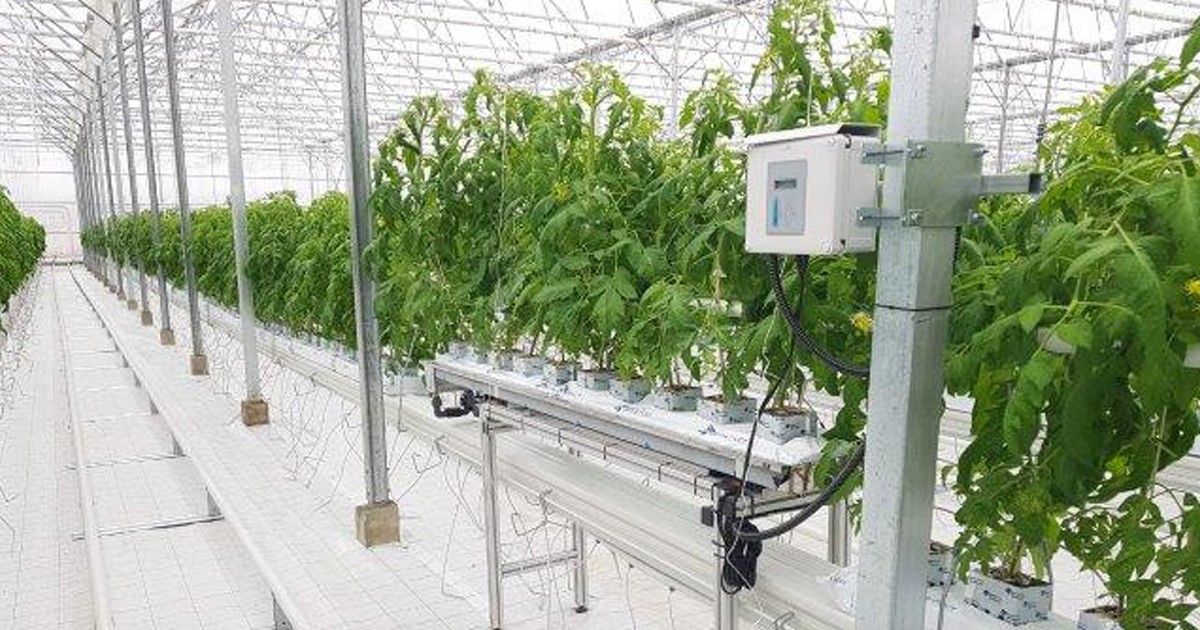 Formazione in Israele per studenti di Associazione Camis de Fonseca Formazione in Israele per studenti-Associazione Camis de Fonseca