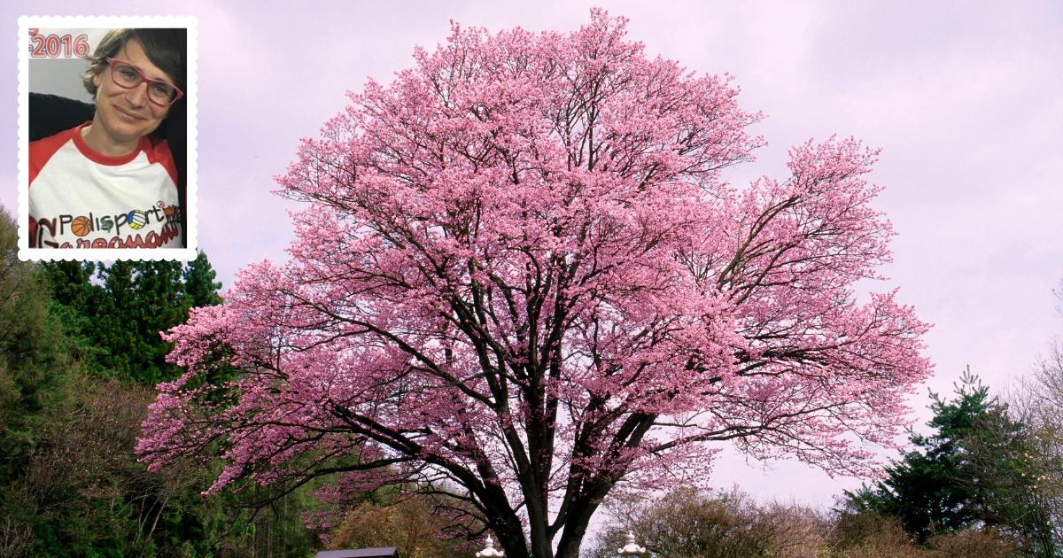 Per la fioritura dei bimbi con lo sport di ASD Polisportiva Garegnano 1976 Per la fioritura dei bimbi con lo sport-ASD Polisportiva Garegnano 1976