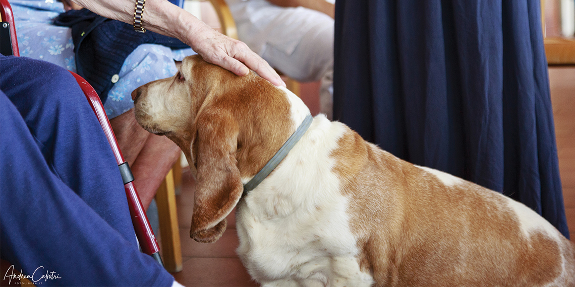Tutti insieme per la Pet Therapy di Accademia Cinofila Fiorentina ASD Tutti insieme per la Pet Therapy-Accademia Cinofila Fiorentina ASD