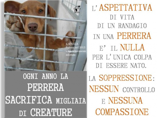 UN RIFUGIO PER LE ANIME FRAGILI	-Una Cuccia per la Vita