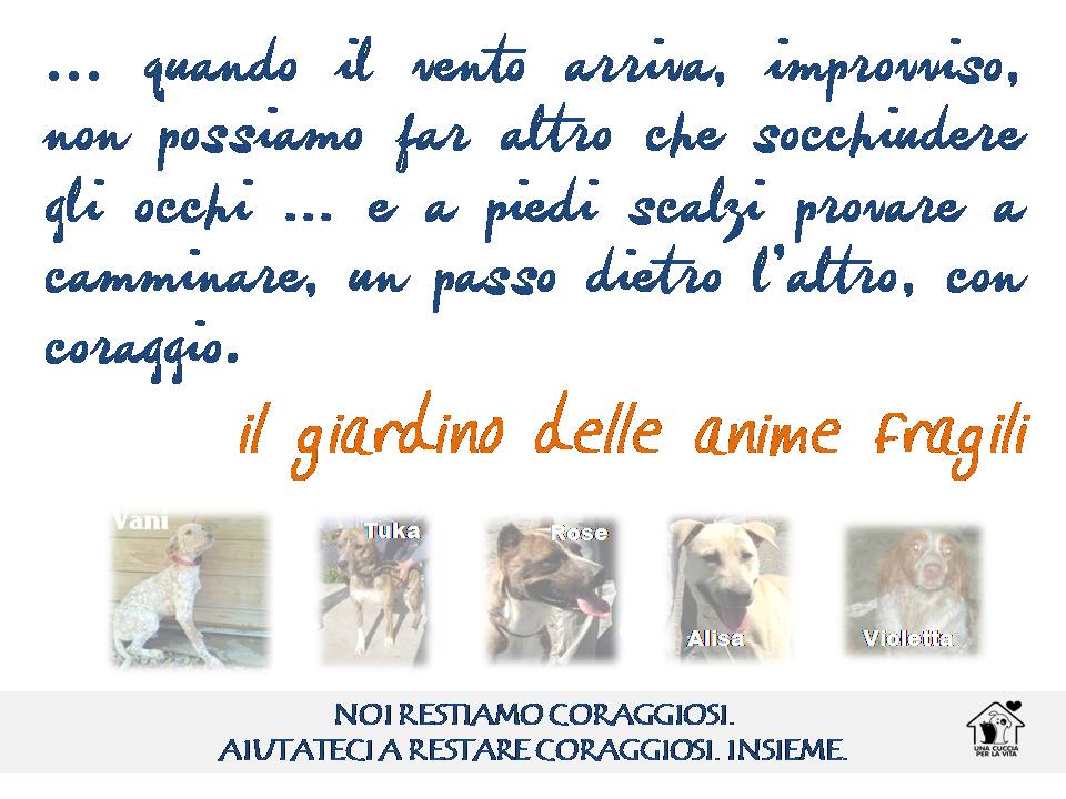 ROSE, TUKA, ALISA, VANI e VIOLETTA. Vi chiediamo aiuto per loro. Le nostre anime fragili. ROSE, TUKA, ALISA, VANI e VIOLETTA. Vi chiediamo aiuto per loro. Le nostre anime fragili.