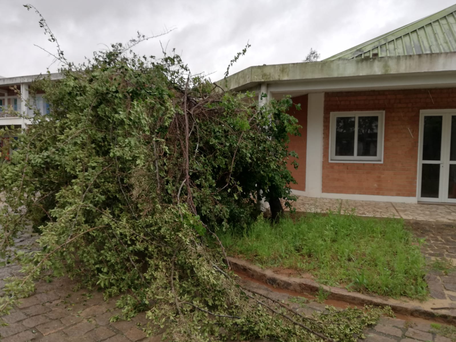 L’URAGANO AD AMBALAKILONGA di Educatori senza Frontiere L’URAGANO AD AMBALAKILONGA-Educatori senza Frontiere