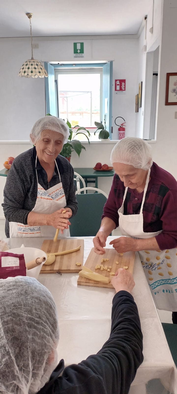 Senior Cohousing: innovare abitando di Vivere Insieme ETS Senior Cohousing: innovare abitando-Vivere Insieme ETS