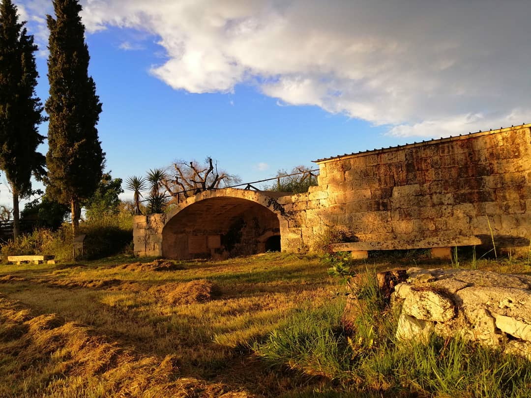 PIANTALA! di CCSR ONLUS PIANTALA!-CCSR ONLUS