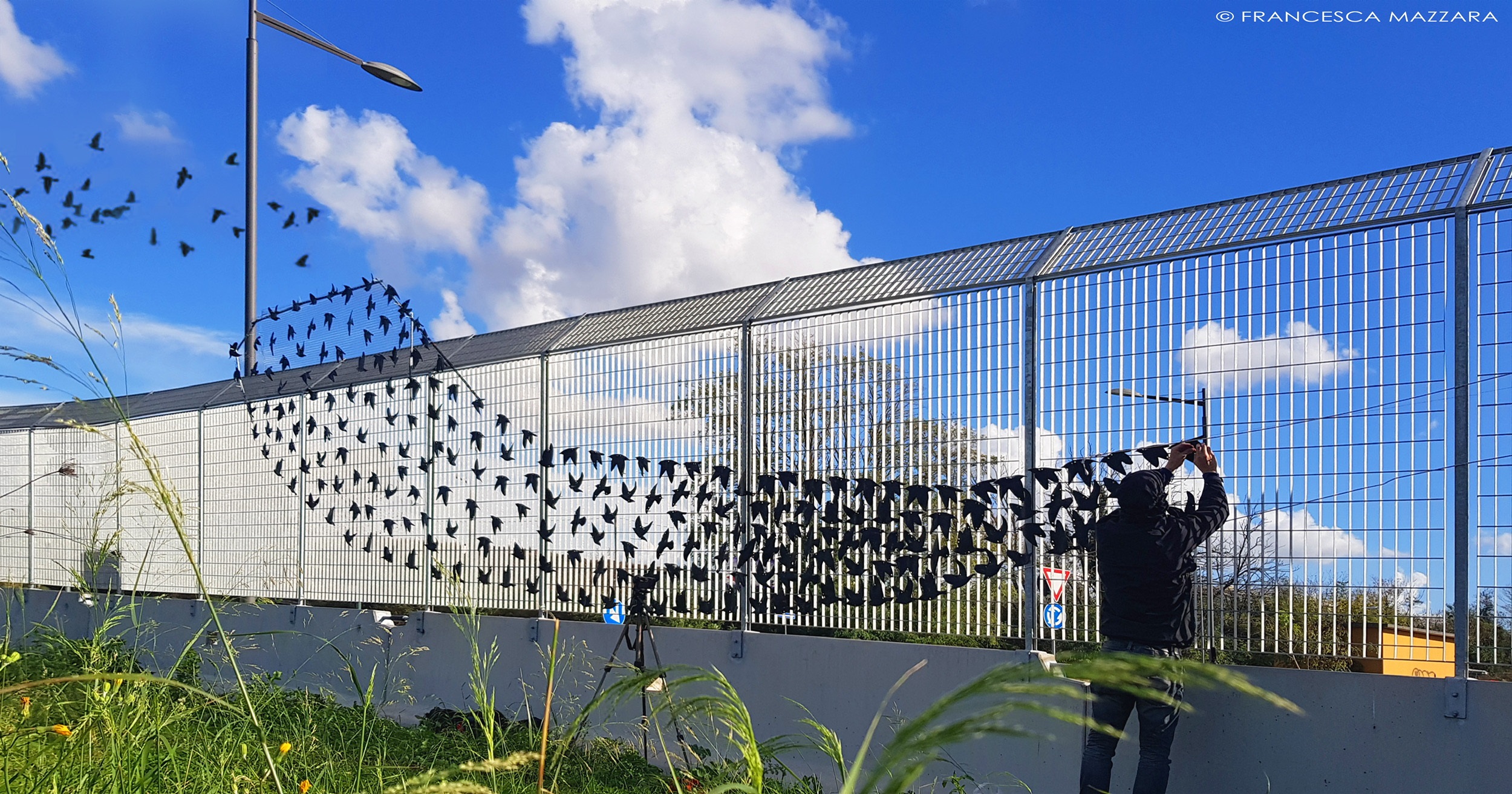 Baobab 4 Run - 7 aprile 2019-Baobab Experience