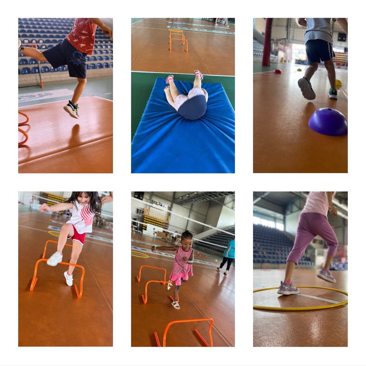 PalaBLà progetto L2 & Multisport di VolleySassuolo PalaBLà progetto L2 & Multisport-VolleySassuolo