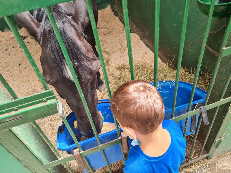 ContinuaR.E.-L’ippoterapia non si fermi! di AGRES ContinuaR.E.-L’ippoterapia non si fermi!-AGRES