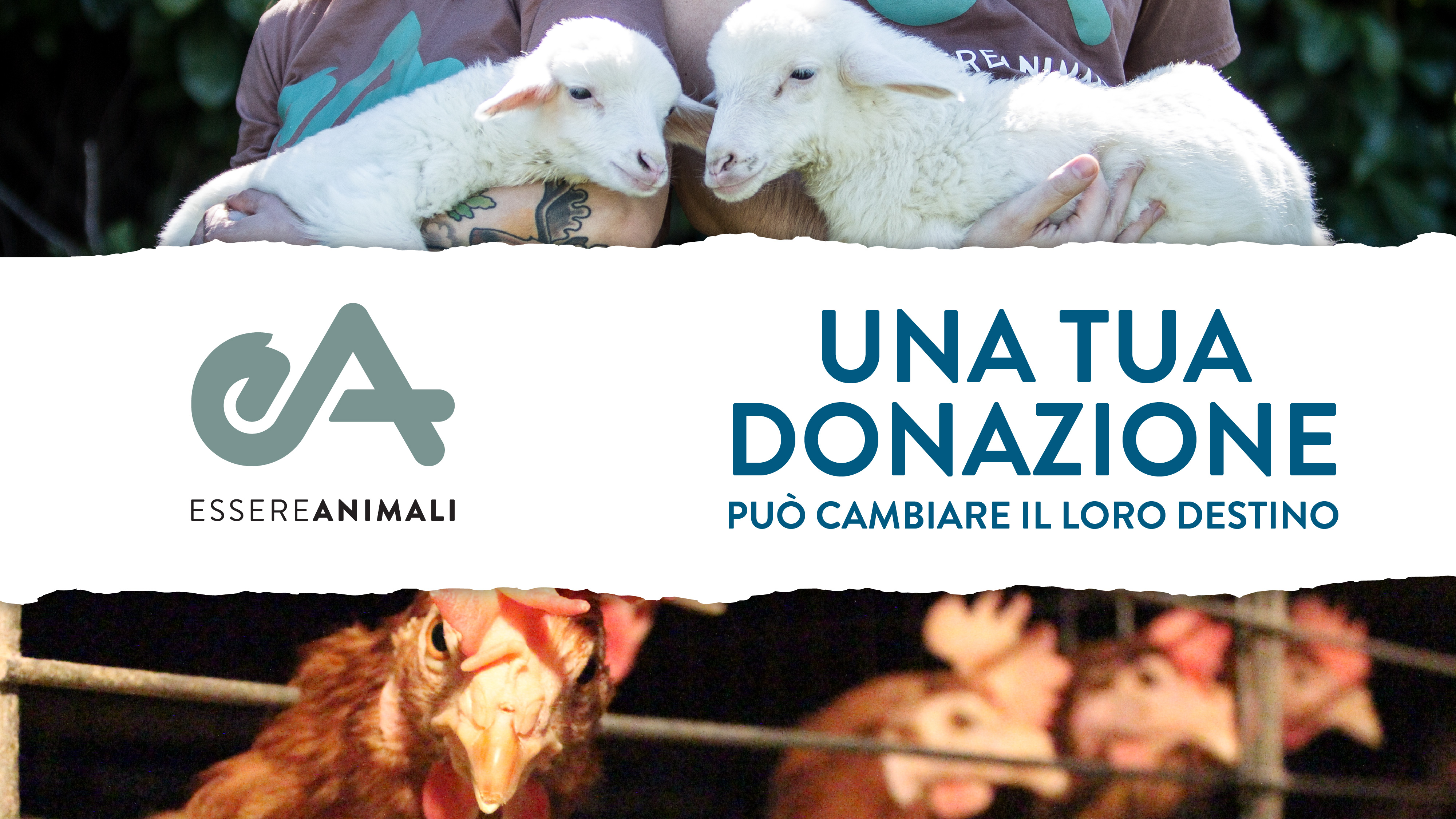 Cambiamo il destino degli animali-Essere Animali