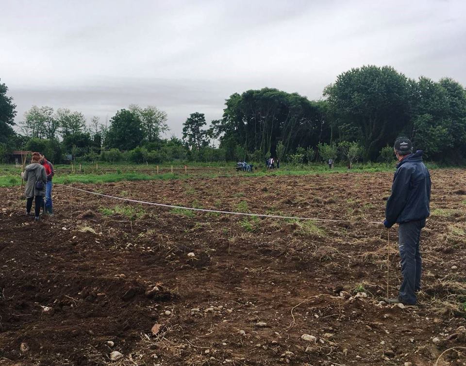 TUTTI GIU PER TERRA ALLA MILANO MARATHON-FONDAZIONE ALESSIO TAVECCHIO ONLUS