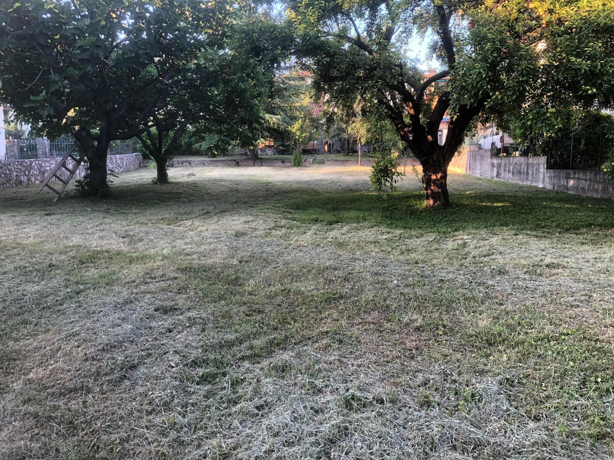 Un giardino per la Vita-Voi come Noi per l’autismo 