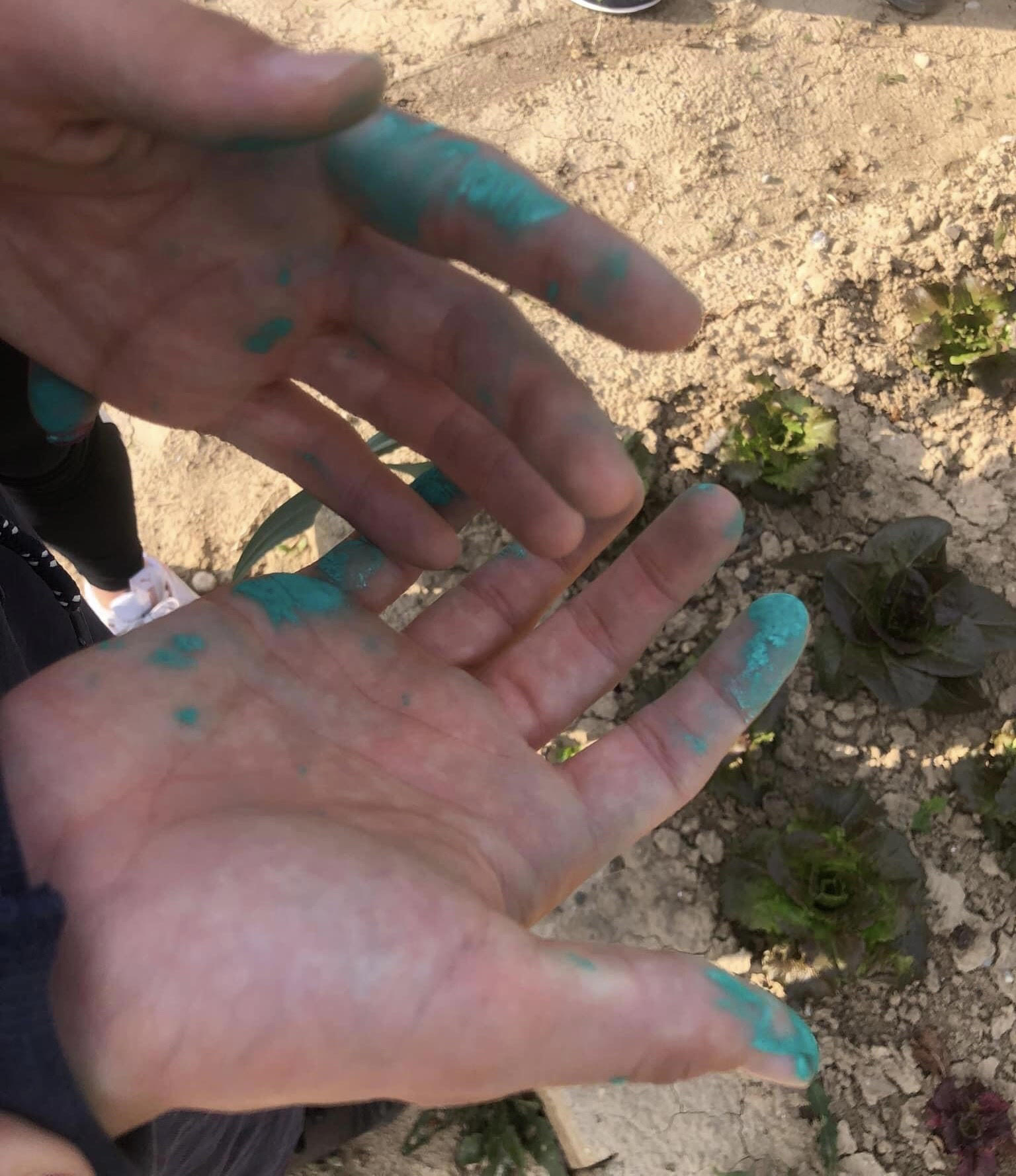 Un giardino per la Vita-Voi come Noi per l’autismo 