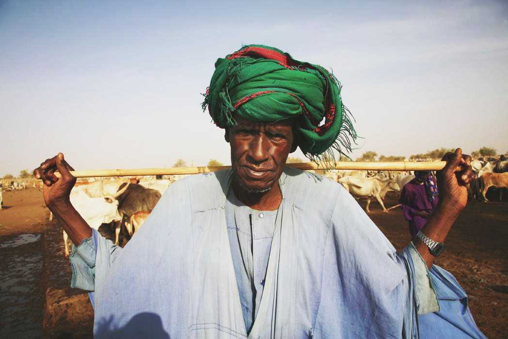 MALI: ALIMENTARE LA PACE-CISV