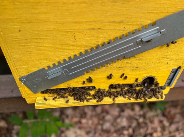 Le Api di Cristian di Un Sorriso per... le Api Le Api di Cristian-Un Sorriso per... le Api